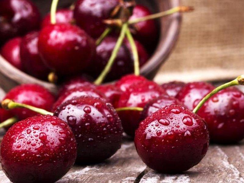 Вишня купить саженцы из питомника в Тюмени